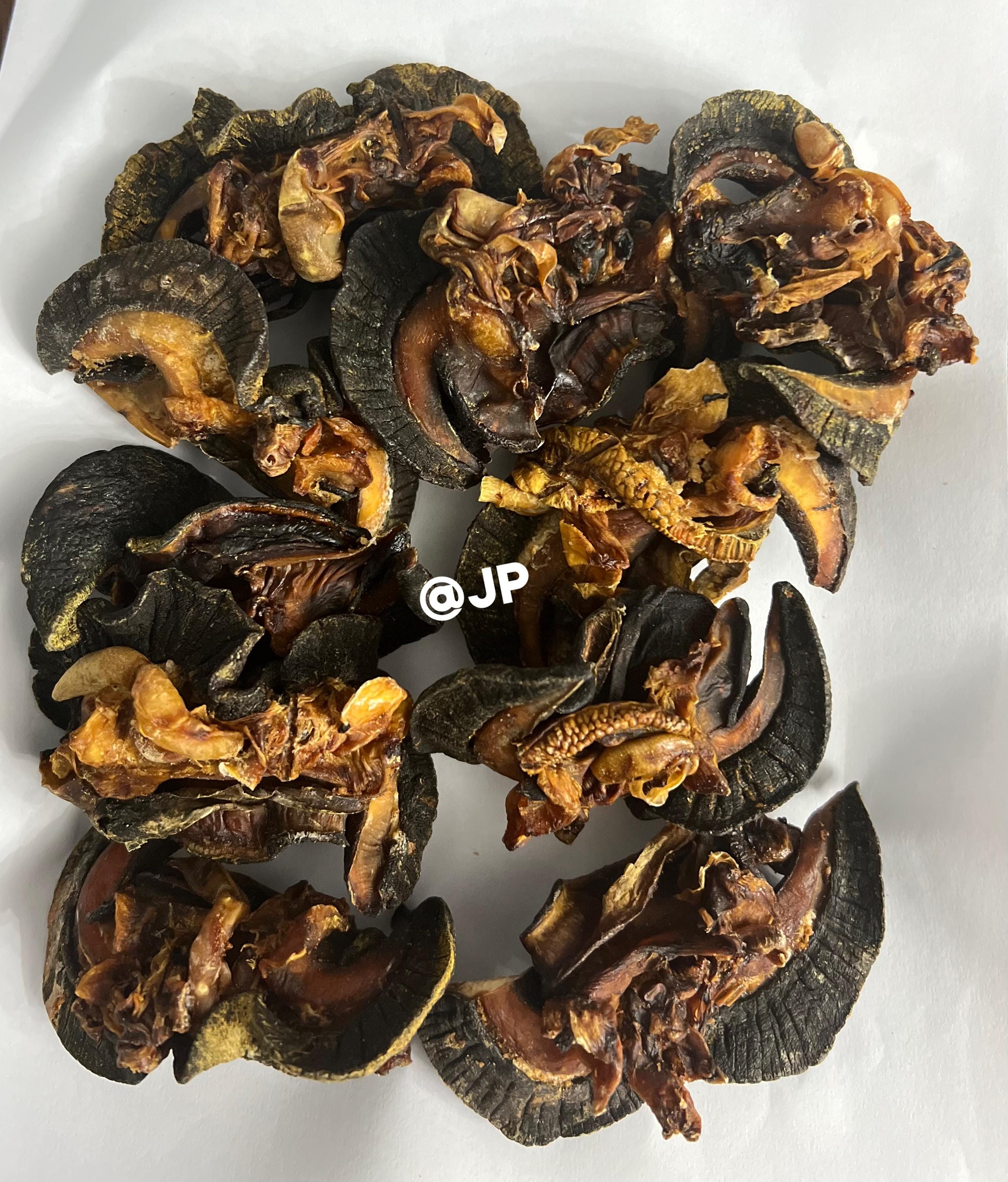 Oven Dried Snail(Igbin) - Large 7Pieces