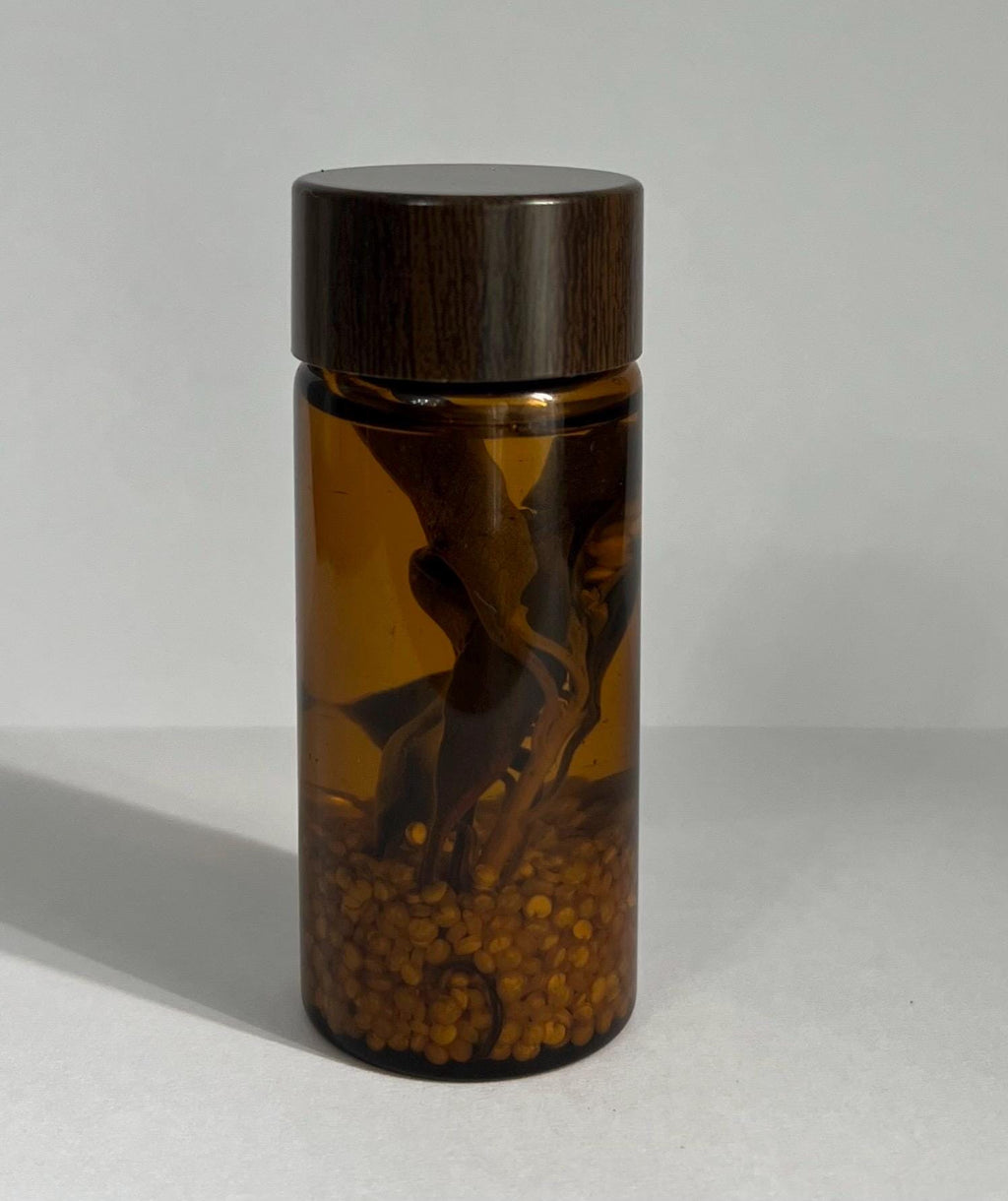 Banish Monitoring Spirit Oil