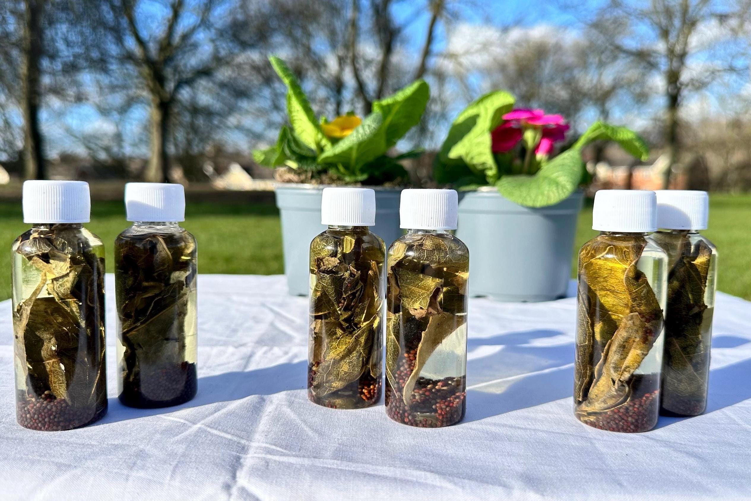 Dark Spell breaker spiritual oil