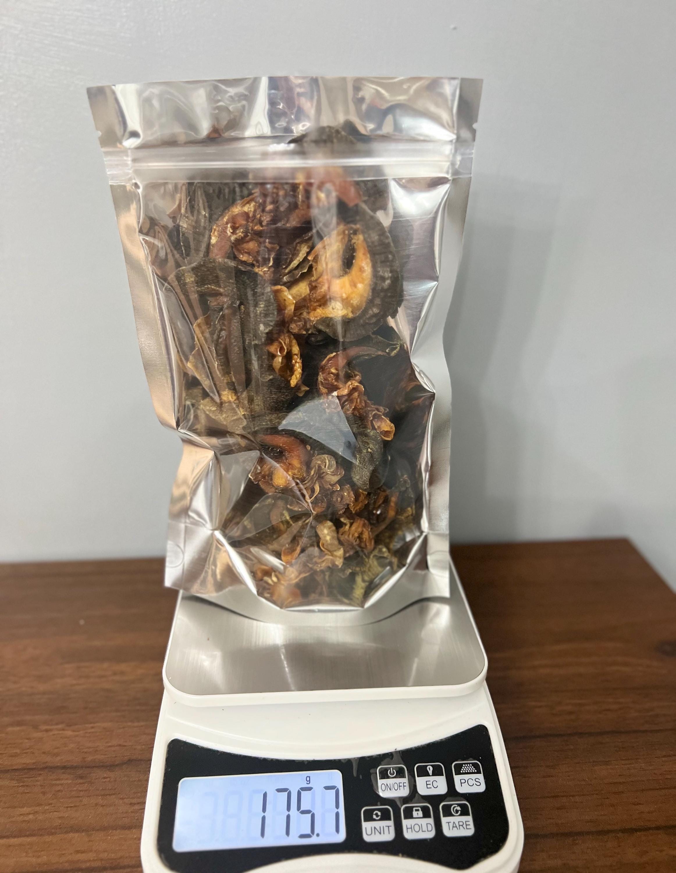 Oven Dried Snail(Igbin) - Large 7Pieces