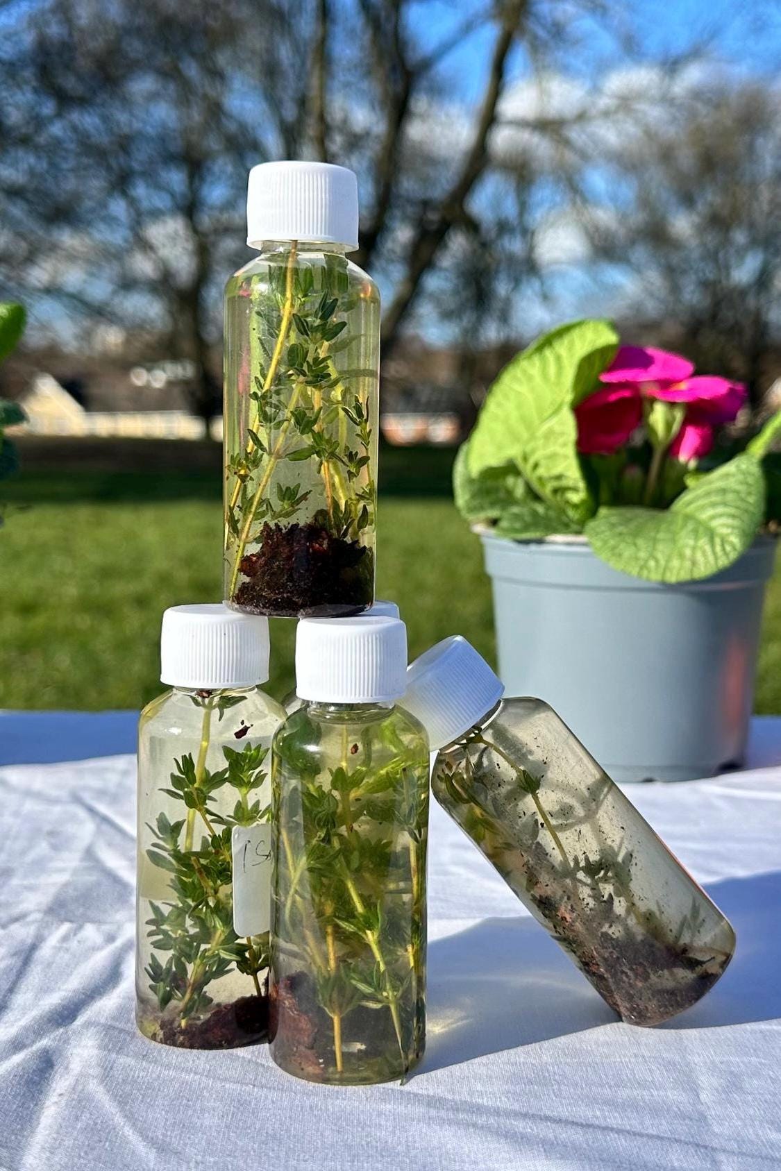 Protection Oil Against Spiritual Attack