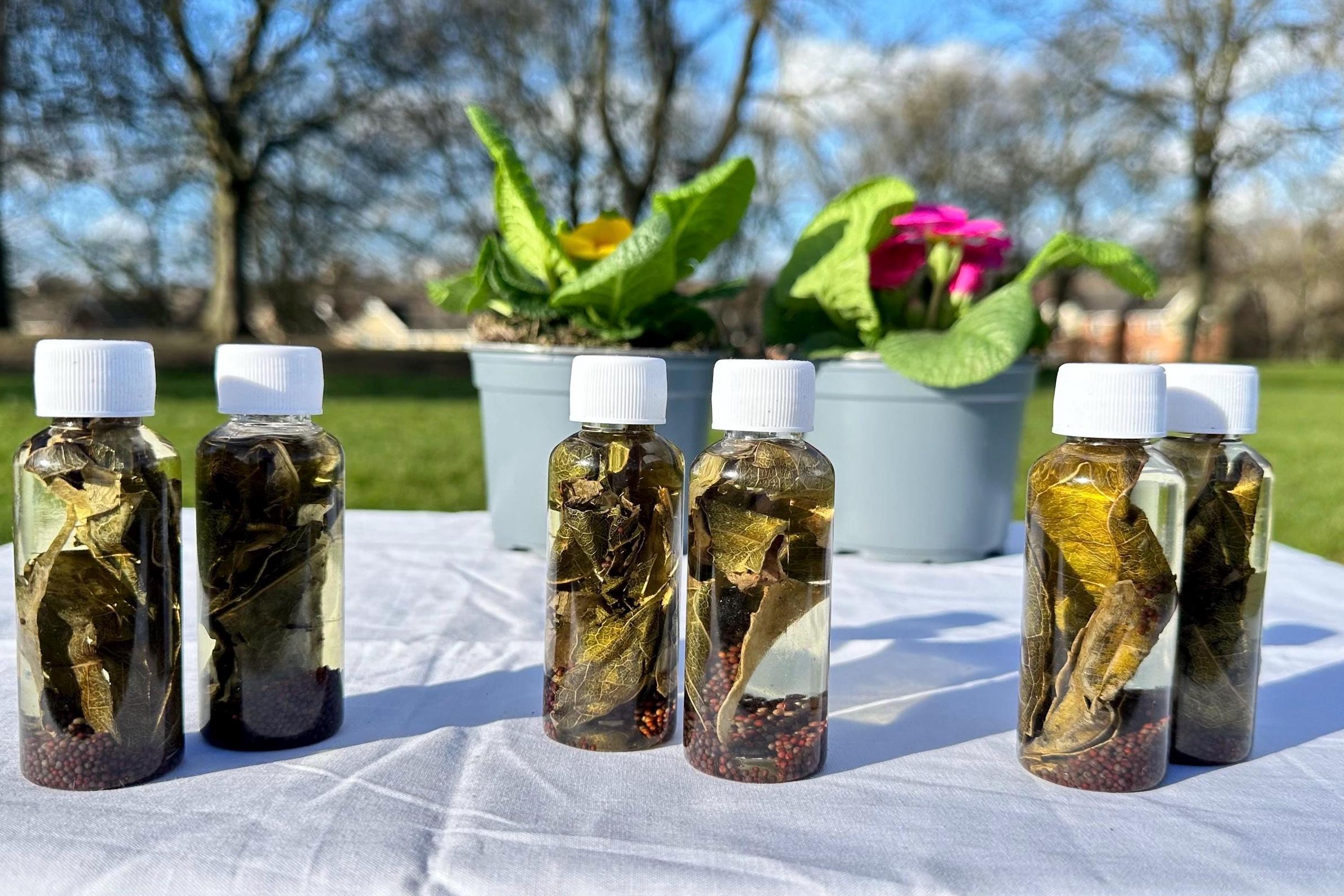 Dark Spell breaker spiritual oil