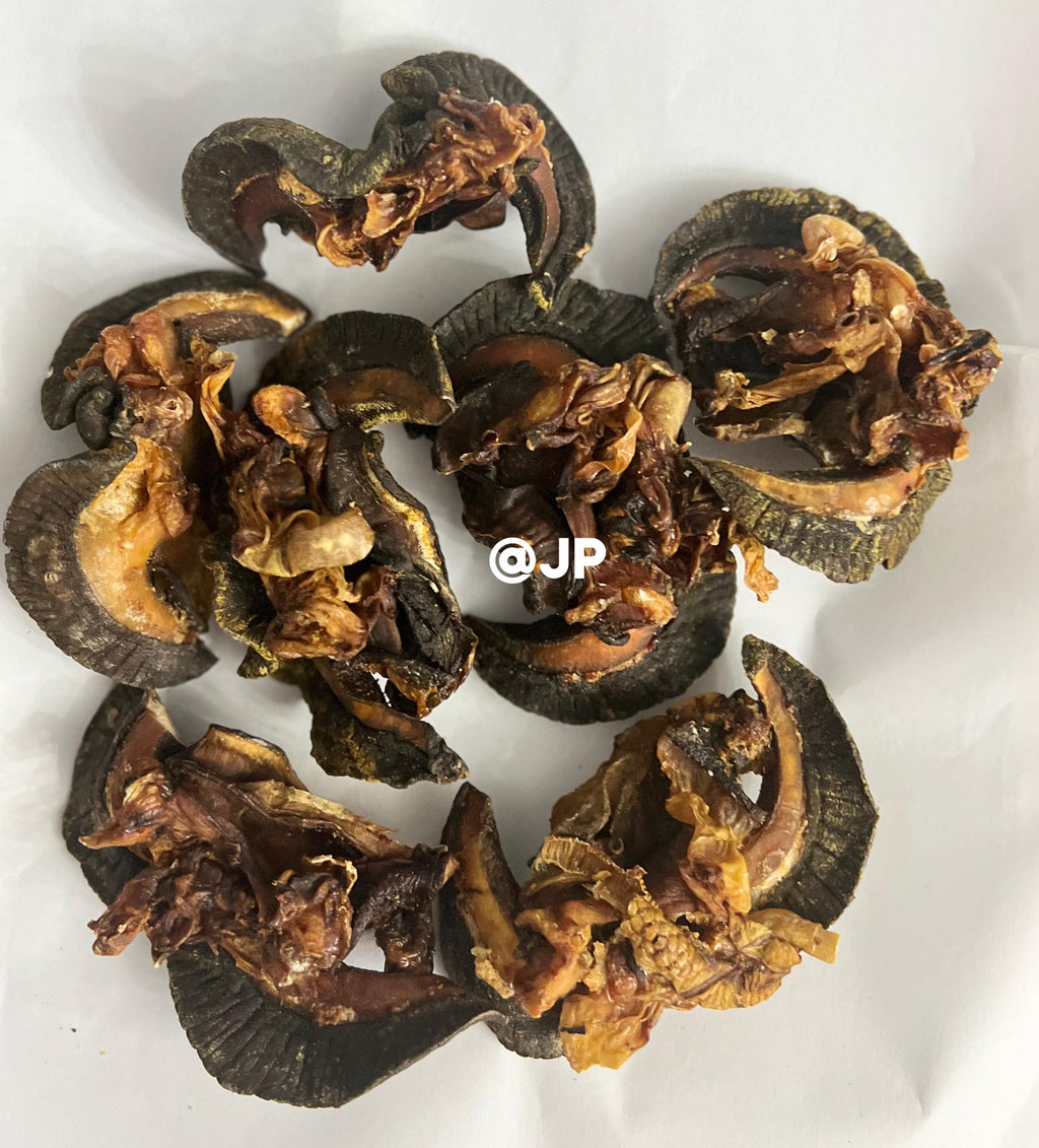 Oven Dried Snail(Igbin) - Large 7Pieces